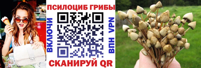 Купить закладки  Омск  Галлюциногенные грибы Cubensis 